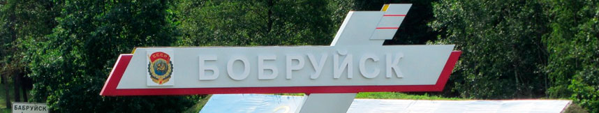 Межгород такси Москва Бобруйск
